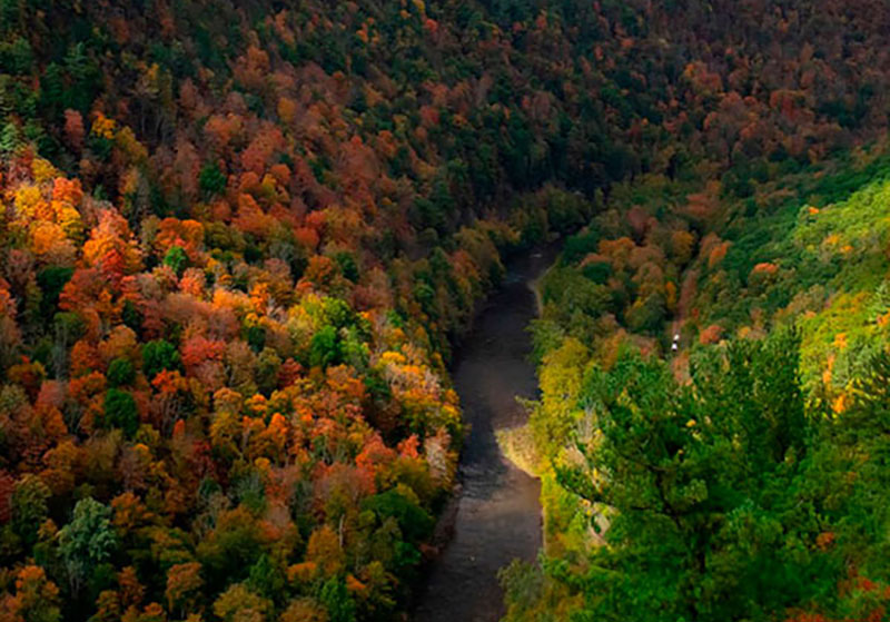 Wellsboro Chamber of Commerce