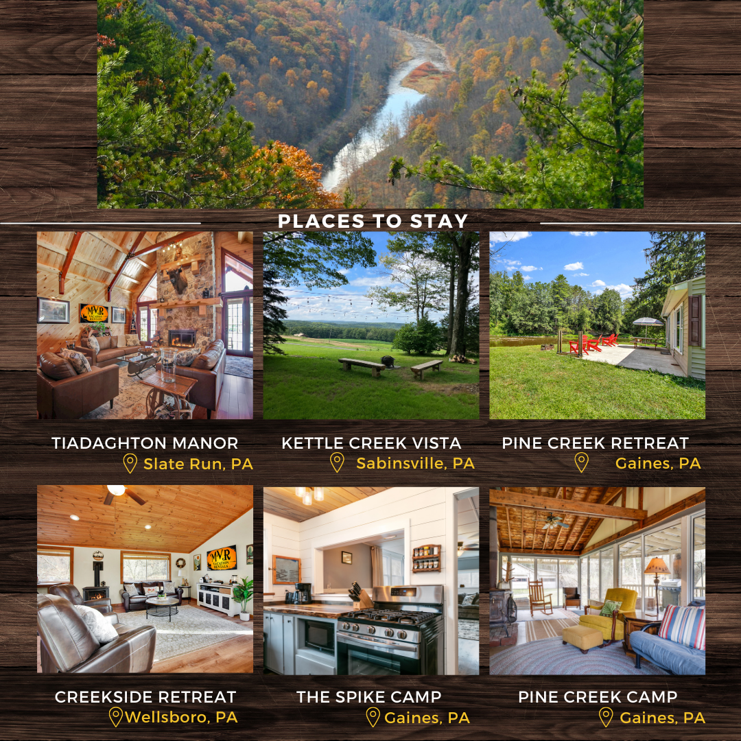 Experience the Magic of Fall at the 2025 Falling Leaves Festival – Your Perfect September Getaway!