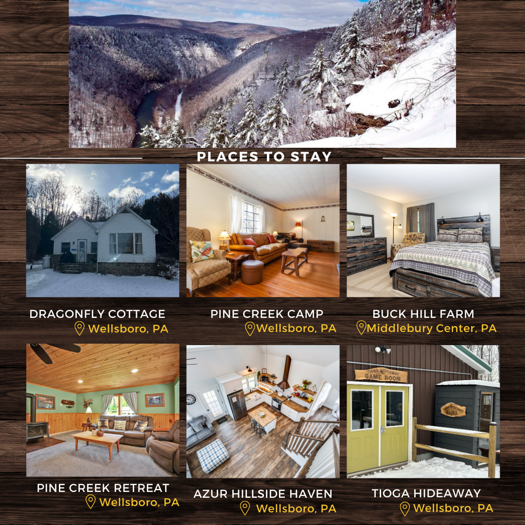 A Celebration of Local Flavor and Creativity